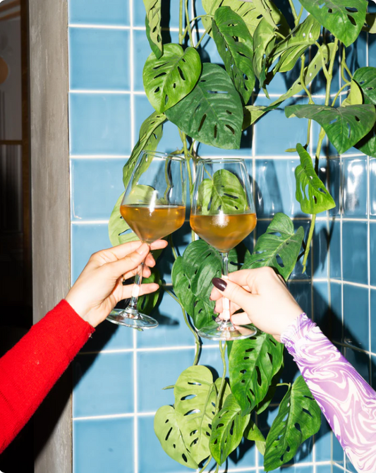 Utrecht, November 9, Wine & Snacks, nr.2